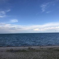 ss (@ss44536314) 's Twitter Profile
