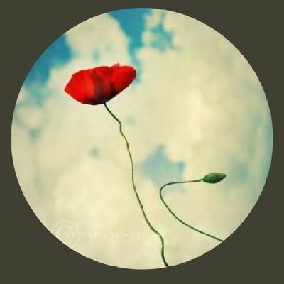 @remzi_erim