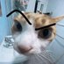 jim_mu (@decha77794) Twitter profile photo jim_mu (@decha77794) Twitter profile photo