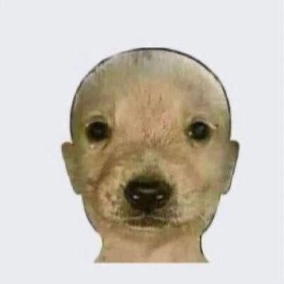 aransandoval's profile picture. Es mi twitter y yo decido como dañar mi imagen. | 5H | BLINK | THE WALKING DEAD |