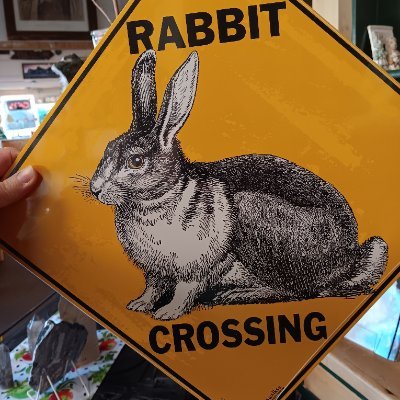 sandifelkner's profile picture. 