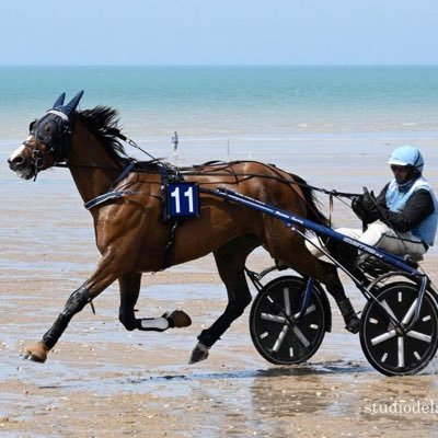 loulle31's profile picture. Passionné de sports et de courses hippiques.#TeamOM