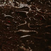 avl (@liamavl) 's Twitter Profile