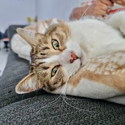 Die5el_Smirnoff's profile picture. My day life.