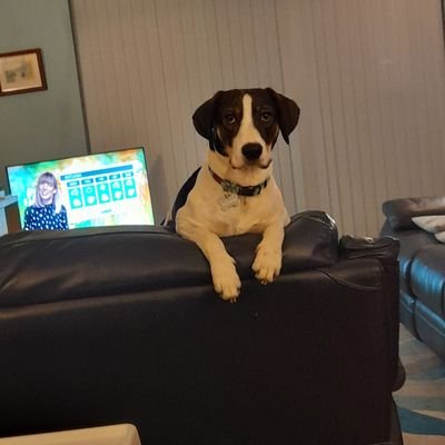 birch_ray43552's profile picture. 