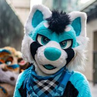 Sparky 🐾 (@sparkpanda) 's Twitter Profile