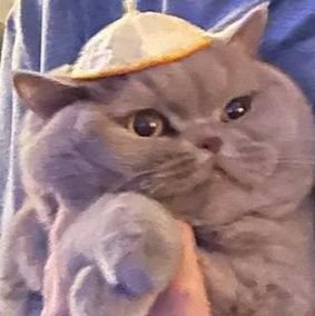 feogamming's profile picture. Streamer sur twitch (feogamming)