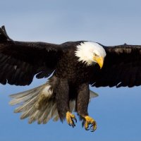 Gladiator (@gladiator6577) 's Twitter Profile