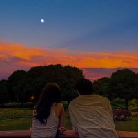 🌞 (@gdxtarot) 's Twitter Profile
