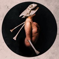 RafaelFloresPhotography (he/him) (@_rfloresphoto) 's Twitter Profile Photo RafaelFloresPhotography (he/him) (@_rfloresphoto) 's Twitter Profile Photo