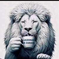 El Pepe (@cariquima) 's Twitter Profile Photo El Pepe (@cariquima) 's Twitter Profile Photo