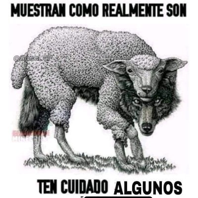 marissaespg's profile picture. condition grounded but determined to try