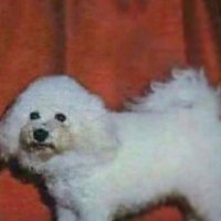 kerp (@3y3hex) 's Twitter Profile