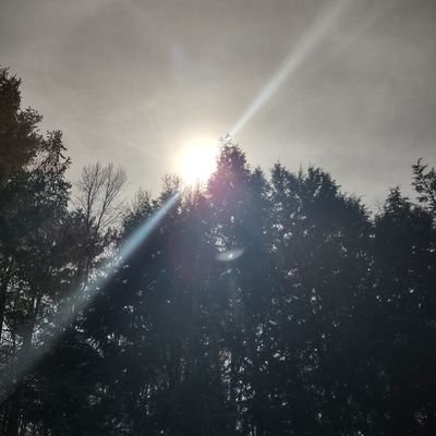 Mordecaisreach's profile picture. Abolitionist, the word of God coded/created our reality, momma to a sweet little buggaloo and wife to a wonderful husband 💖 
https://t.co/8EvBGiM8FQ