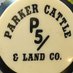 Parker Cattle (@CattleParker) Twitter profile photo