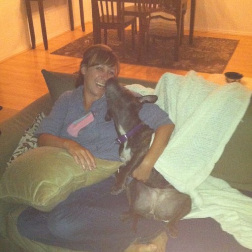 skwolfe's profile picture. Dogs, D.C. sports and politics...not always in that order, but usually.