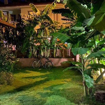 fnur_celik's profile picture. 