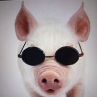 blindpig/1966 (@blindpig_1966) 's Twitter Profile