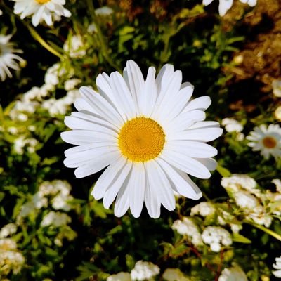 나야さんのプロフィール画像
