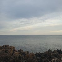 Ed (@edgard_co) 's Twitter Profile Photo