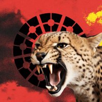 PølarizedCheetah ••••X (@polarizecheetah) 's Twitter Profile