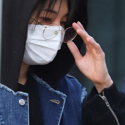 성인 밀레시안 캐럿