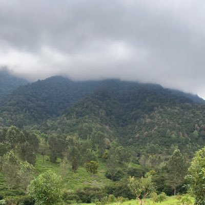 sas7sas6's profile picture. 