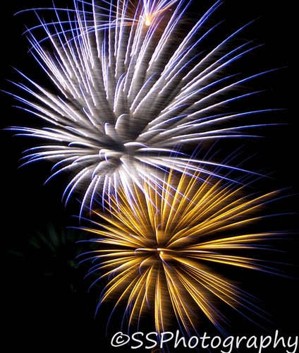 shanasshotsfoto's profile picture. Mom and photo nut. On RedGage http://t.co/7ZoNY1W6PH and Gather http://t.co/1xgs0KxBJV.