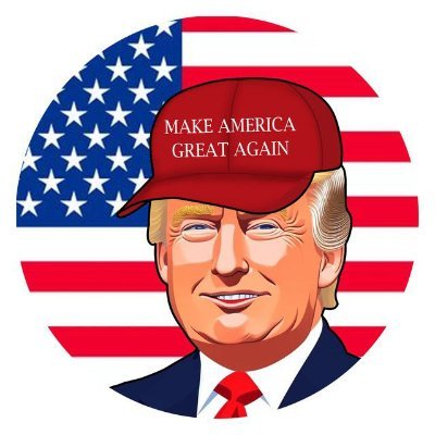 Dev already out, Community Driven $MAGA
https://t.co/hBdTgdUGGe