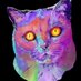 Mariona 😼🐾 (@rosamarian9) Twitter profile photo Mariona 😼🐾 (@rosamarian9) Twitter profile photo