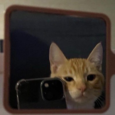 _belovedghost_'s profile picture. sitting in a tree d-y-i-n-g.