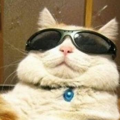 cangaceiro_rj's profile picture. 