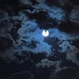 لن اتصنع لاعجبك ، ثق بذالك:)