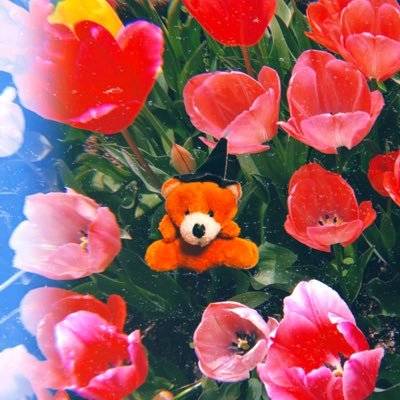 ( ^^) っ旦さんのプロフィール画像