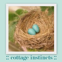 Cindy Harvey - @cottageinstinct Twitter Profile Photo