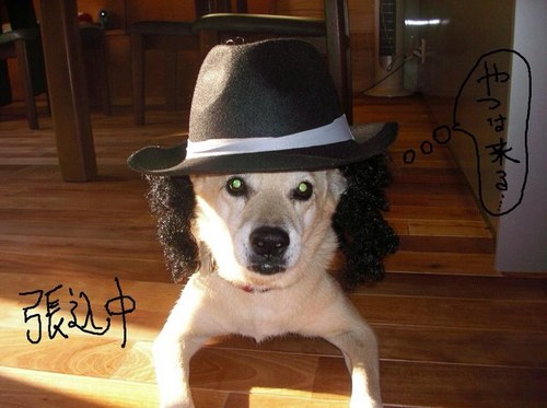 333sea's profile picture. 茨城・千葉で、上手くないけどロングボードをやっている、おっさんです(´･_･`)