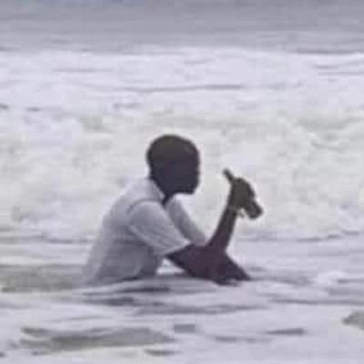 Shigella941's profile picture. Entrepreneur 🐖🐷