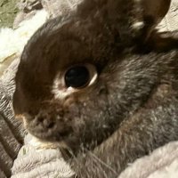 もち (@olxsfxgqc916692) 's Twitter Profile Photo