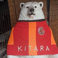 ๐ปโโ (@hiro_n_d_v) 's Twitter Profile