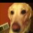 taltstheresults's profile image