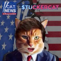 TuckerIsACAT(@TuckerAcat) 's Twitter Profile Photo