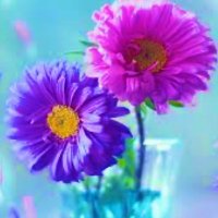 RuthieBabie :) (@techiednp) 's Twitter Profile