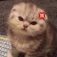 juya (@claazoo) 's Twitter Profile