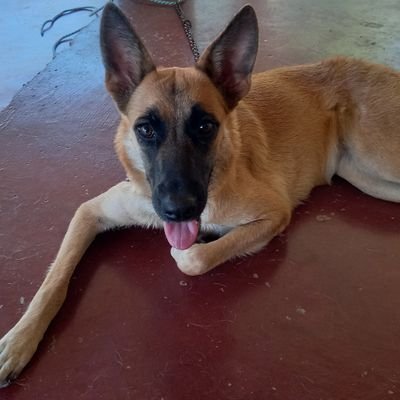 EEMirandaL_02's profile picture. Entusiasta de Bitcoin y la tecnología blockchain. Creyente en la descentralización y el futuro financiero digital. Mis tweets no son consejos financieros.