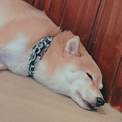 🌈🕒取引垢 /20↑/本人周辺B済み/ご連絡は24時間いつでも可
※推しを交換に出したり、コンプ目的の交換をする場合があります。
