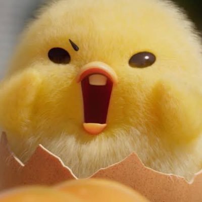 piyo🐥, WA on bio.