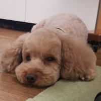 Yukiko Asou (@asouyukiko57909) 's Twitter Profile