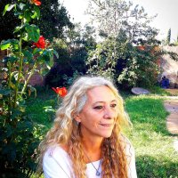 monicafecito💛 (@monicafecito1) 's Twitter Profile