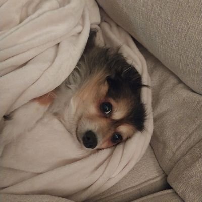 HeatherNimal's profile picture. I'm originally from Maine, but currently living in Louisiana!