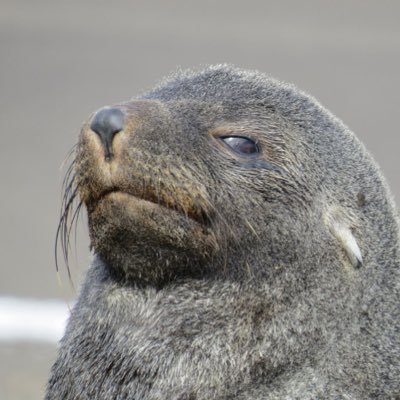 Ben1207_'s profile picture. Liverpool FC